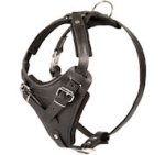 Black Leather Dog Harness for Doberman