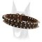 Amazing "Spiky" leather collar with spikes and studs for your Doberman