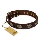 'Chocolate kiss' FDT Artisan Leather Doberman Collar with Old Bronze Look Oval Plates