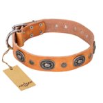'Twinkle Twinkle' FDT Artisan Incredible Studded Tan Leather Doberman Collar with Silver-Like Circles