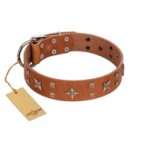 "Dreamy Gleam" FDT Artisan Tan Leather Doberman Collar Adorned with Stars and Squares