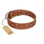 "Enchanted Skulls" FDT Artisan Tan Leather Doberman Collar with Chrome Plated Skulls
