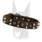 Perfect fit 3 rows studded leather collar for Doberman