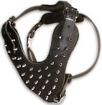 Have Spike Dog Harness Manufacturers