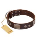 "Stone Stars" Stylish Handmade FDT Artisan Brown Leather Doberman Collar