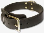 Leather Working Dog Collar for Doberman - 2 ply leather collar