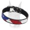 Gorgeous American flag painted leather Doberman collar
