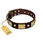 "Heavy Metal" FDT Artisan Brown Leather Doberman Collar with Old Bronze-like Skulls and Plates