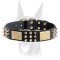 Doberman leather collar with massive brass plates, nickel pyramids and spikes