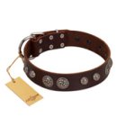 "Choco Brownie" FDT Artisan Brown Leather Doberman Collar Adorned with Silver-Like Conchos