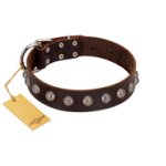 "Lucky Silver" Designer Handmade FDT Artisan Brown Leather Doberman Collar