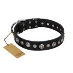 "Genteel Charm" FDT Artisan Black Leather Doberman Collar with Silver-like Round Conchos