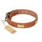 'Enchanting Spectacle' FDT Artisan Doberman Tan Leather Dog Collar with Golden-Like Studs - 1 1/2 inch (40 mm) wide