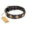 "Fancy-Schmancy" FDT Artisan Scenic Leather Doberman Collar