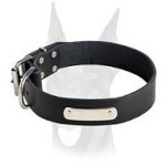 Wide leather collar with ID personalization tag for Doberman