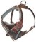 Dog Body Harness for Doberman-BEST Leather Dog Harness