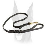 Leather Dog Leash 2 to 6FT x 1/2-Inch for Doberman