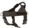 Nylon Companion Safety Harness for Doberman