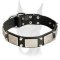 Vintage Doberman collar studded with nickel decoration