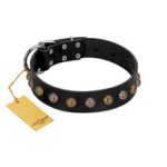 "Inky Prettification" FDT Artisan Black Leather Doberman Collar with One Row of Studs