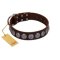 "Charming Circles" FDT Artisan Brown Leather Doberman Collar with Silver-like Studs