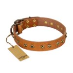 'Autumn Story' FDT Artisan Tan Leather Doberman Collar with Old Bronze Look Studs - 1 1/2 inch (40 mm) wide