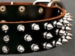 Protector Full Spiked Latigo Dog Collar for Doberman