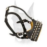Stylish Doberman leather muzzle with spikes and studs