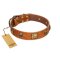 "Knights Templar" FDT Artisan Tan Leather Doberman Collar with Skulls and Crossbones Combined with Squares