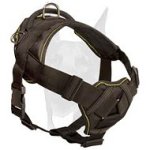 All seasons choice nylon Doberman harness for all kinds of activities