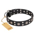 'Refined Essence' FDT Artisan Black Leather Doberman Dog Collar with Silvery Studs - 1 1/2 inch (40 mm) Wide