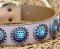 High Quality Dog Collars with blue stones Doberman