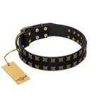 "Refined Pattern" FDT Artisan Black Leather Doberman Collar with Two Rows of Stunning Decorations