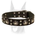 Leather Doberman Collar With Mix of Decorations