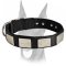 Gorgeous nylon collar with vintage massive plates for Doberman