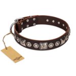 'Pierian spring' FDT Artisan Brown Leather Doberman Dog Collar with Silvery Decorations - 1 1/2 inch (40 mm) wide
