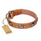 'Era of Future' FDT Artisan Handcrafted Tan Leather Doberman Dog Collar with Decorations