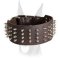 Handmade leather collar with silver-like spikes for Doberman