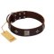 "Cold Star" Designer FDT Artisan Brown Leather Doberman Collar with Silver-Like Adornments