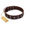 "Skull Valley" Handcrafted FDT Artisan Brown Leather Doberman Collar with Skulls