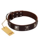 "Nut-Brown Finery" Embellished FDT Artisan Brown Leather Doberman Collar with Chrome Plated Crossbones and Plates
