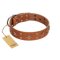 "Dreamy Gleam" FDT Artisan Tan Leather Doberman Collar Adorned with Stars and Squares