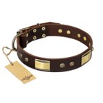 FDT Artisan 'Rich Fashion' Decorated Leather Doberman Collar with Plates and Studs - 1 1/2 inch (40 mm) wide