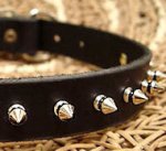 Small Spiked Dog Collar for Doberman puppy