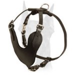 Superior training leather harness for Doberman