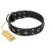 "Star Excitement" Modern FDT Artisan Black Leather Doberman Collar with Studs and Stars