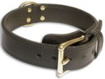 Heavy Duty leather Dog Collar for Doberman