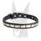 Leather Special Dog Collar With Plates