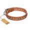 'Daily Chic' FDT Artisan Tan Leather Doberman Collar with Decorations