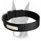 Best training 2 ply nylon collar with ID-tag for Doberman